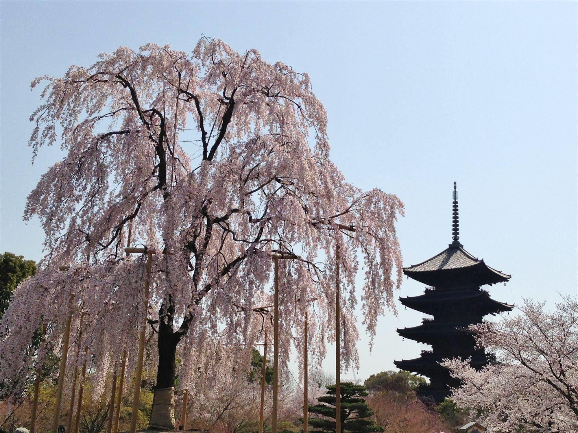 Livemax Kyoto Gojo Hotel Eksteriør billede
